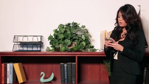 Big Tits at Work: Mia Lelani sucking dick sex video