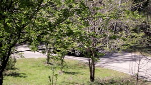 TeensLikeItBig: Stevie Shae hiking sex video